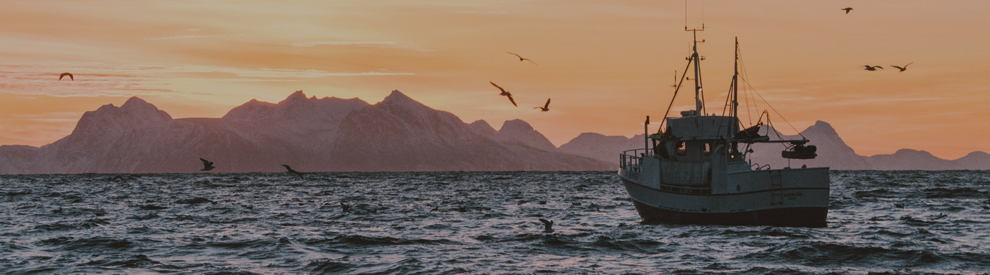 비전을 나타내는 이미지